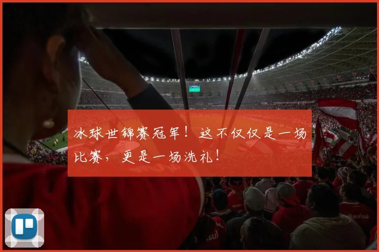 冰球世锦赛冠军!这不仅仅是一场比赛,更是一场洗礼!