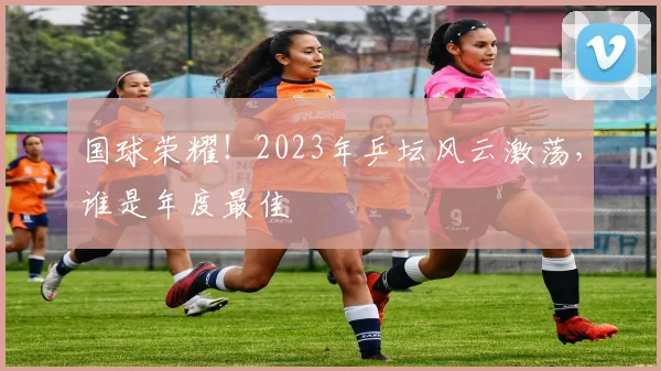 国球荣耀！2023年乒坛风云激荡，谁是年度最佳