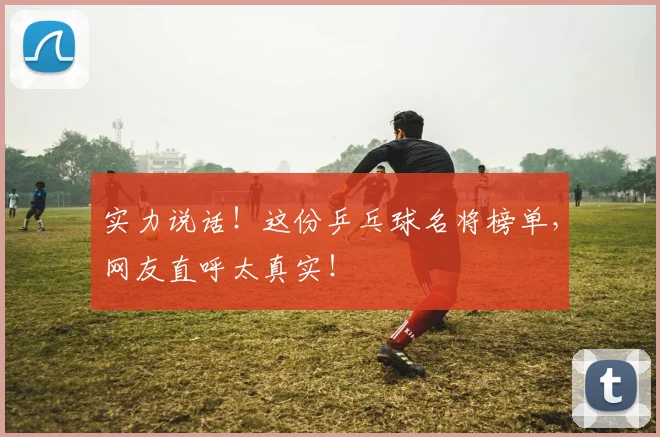 实力说话！这份乒乓球名将榜单，网友直呼太真实！